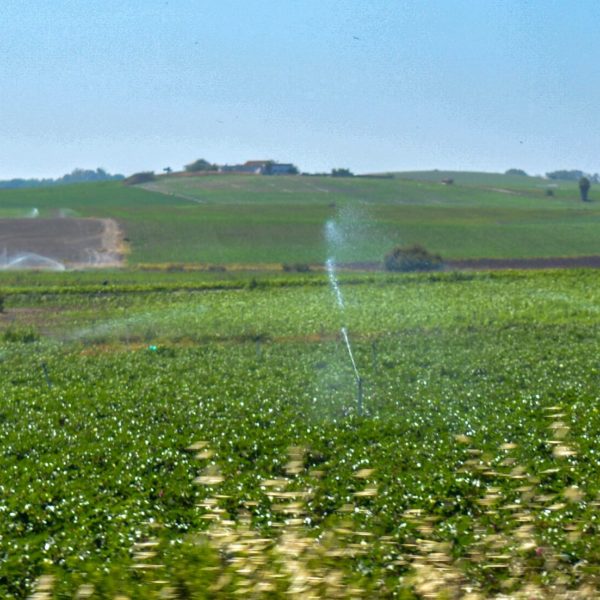 CAMPO