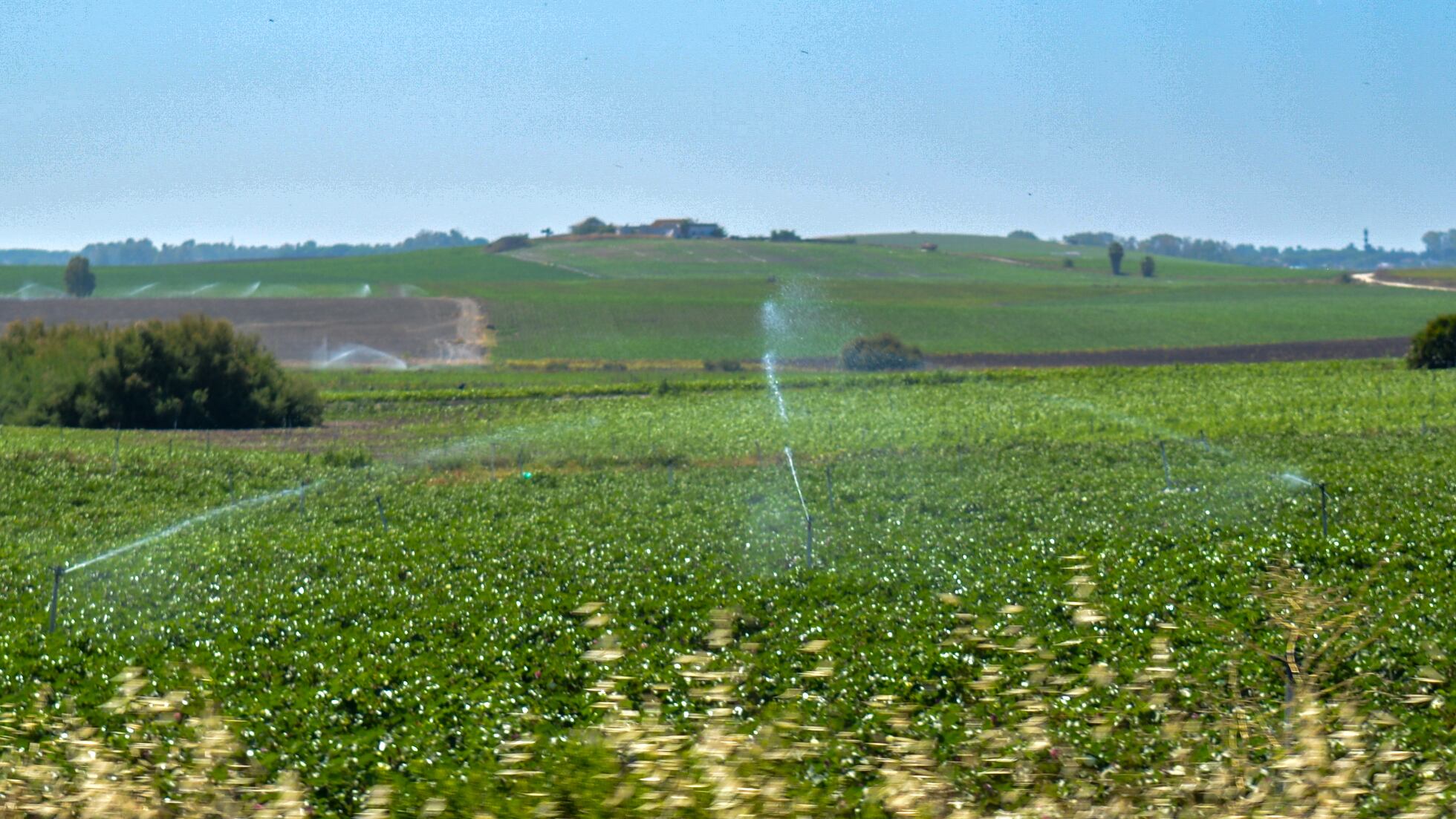 CAMPO