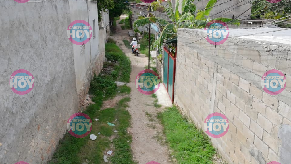 Vecinos
