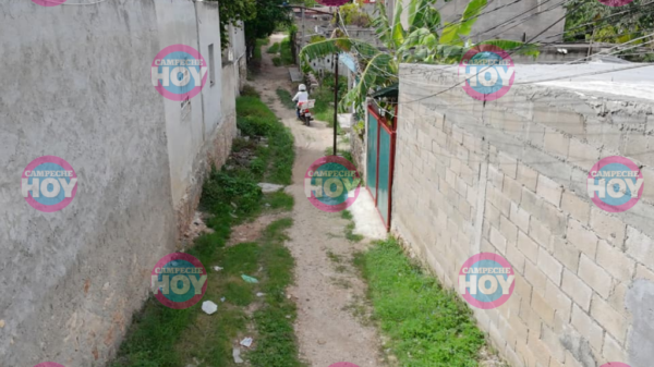 Vecinos