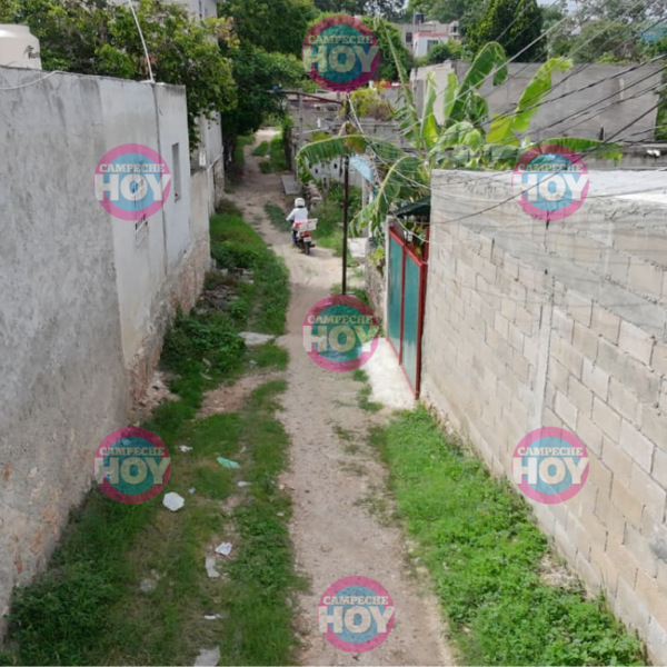 Vecinos
