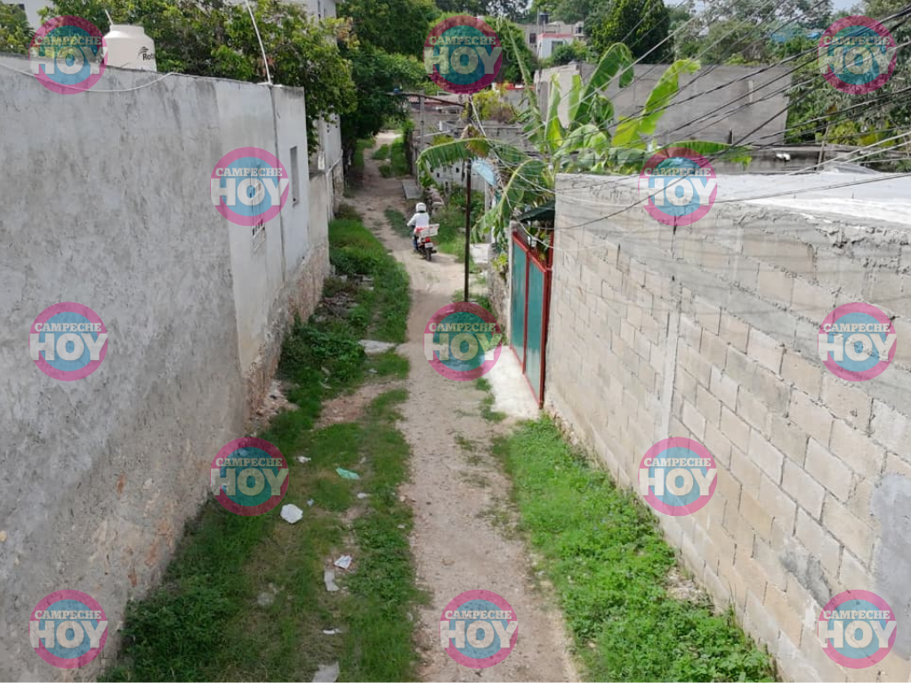 Vecinos