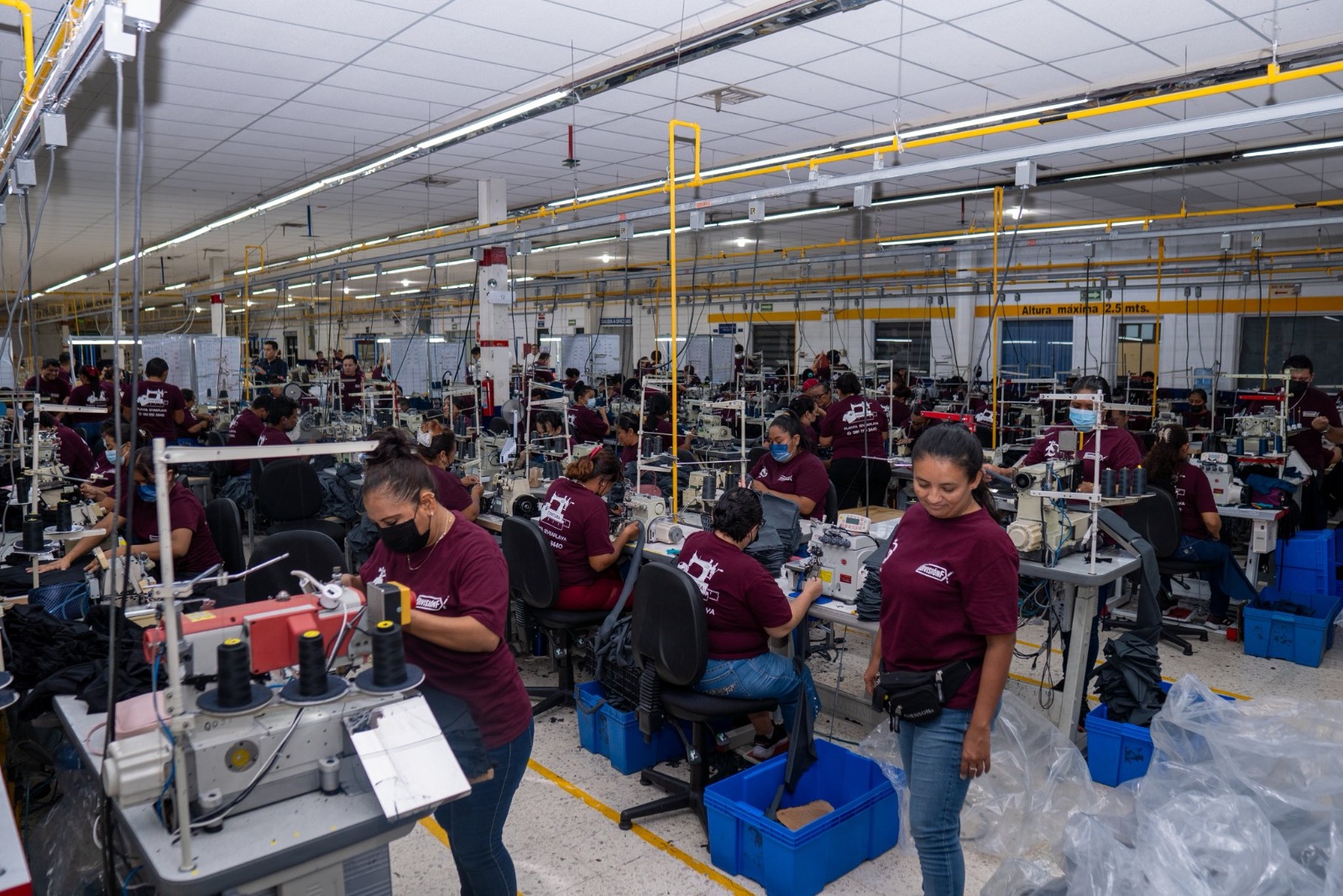empleos