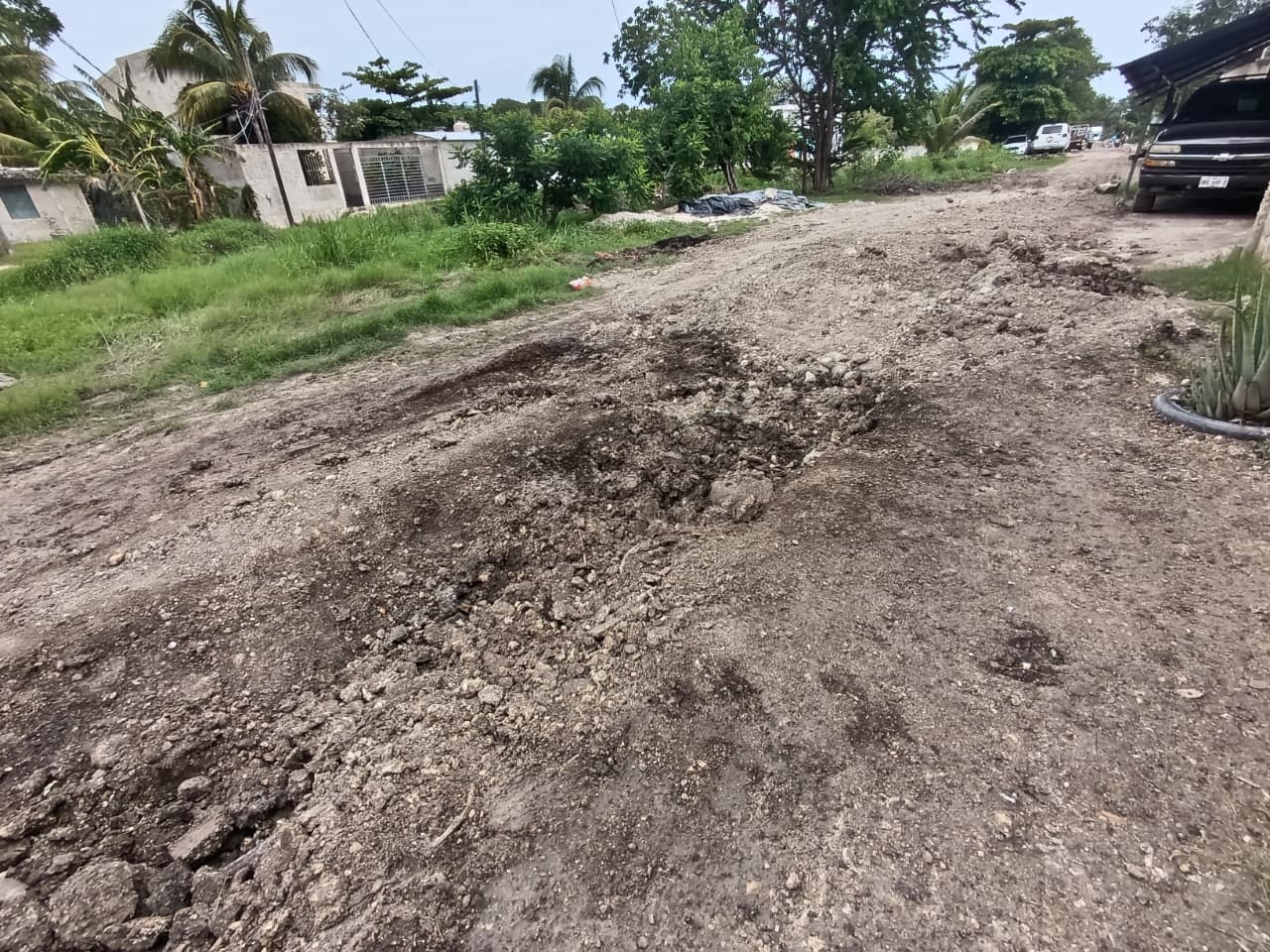 Vecinos