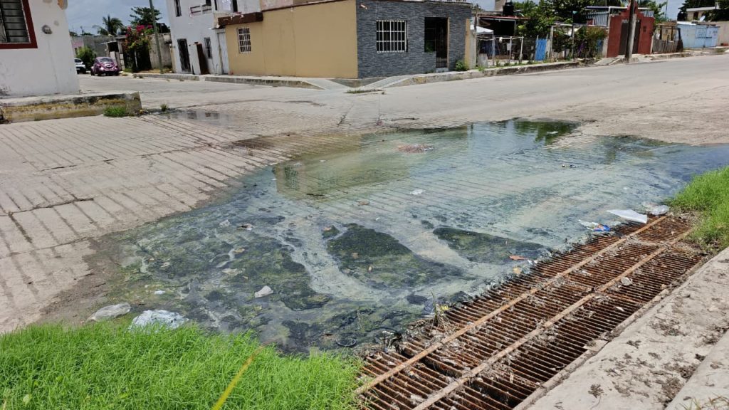 Denuncian