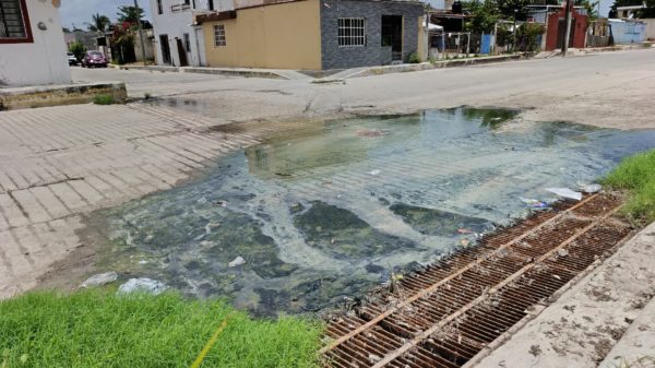 Denuncian