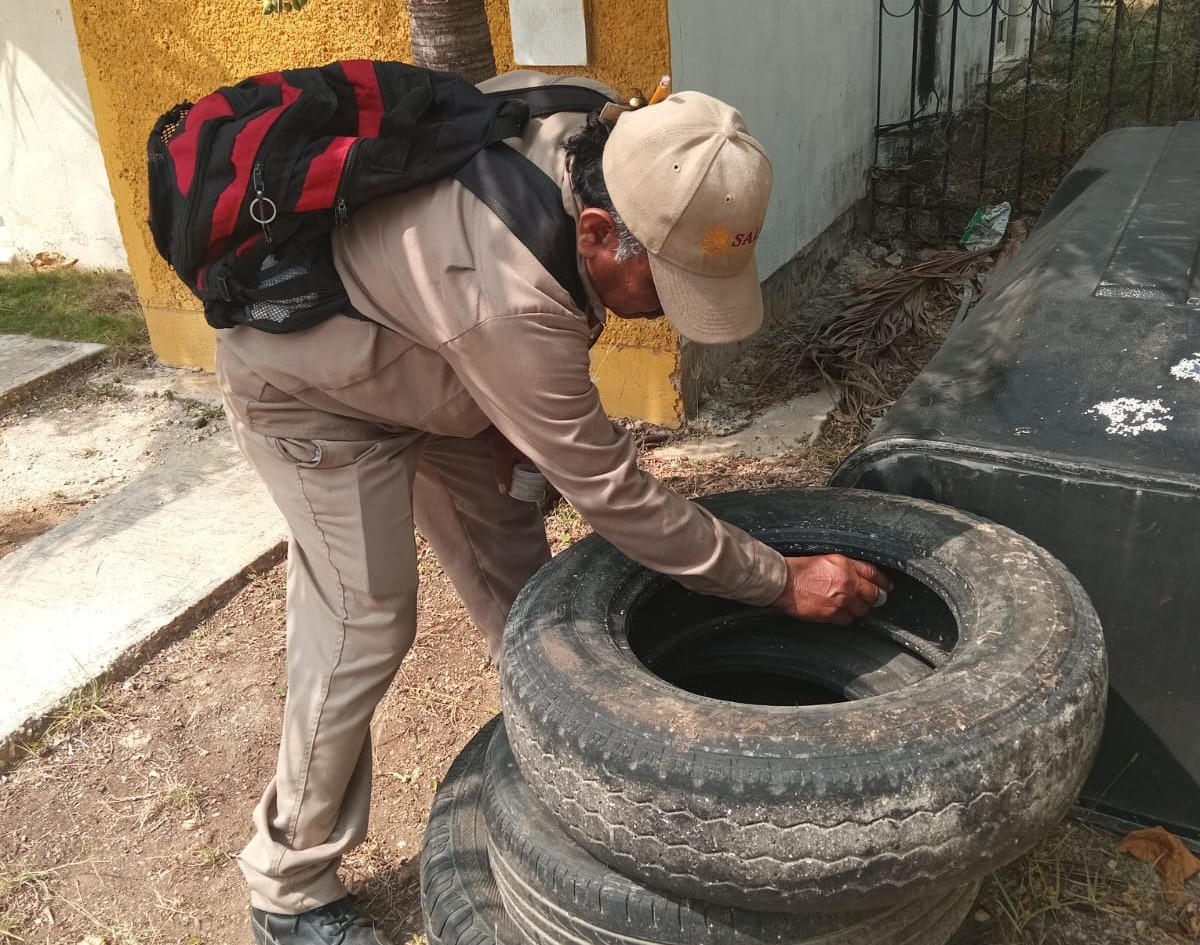 Dengue