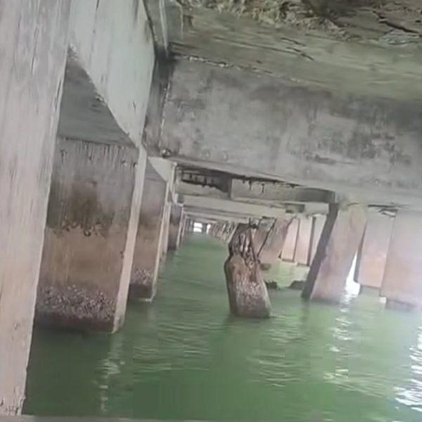 muelle