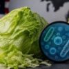 Cyclospora