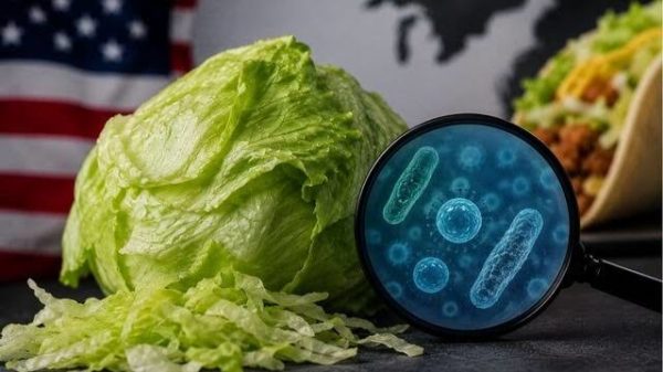 Cyclospora