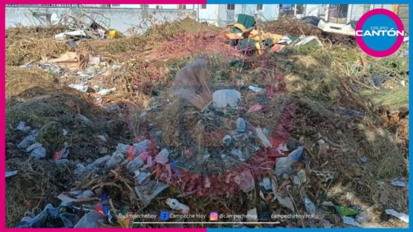 Basura