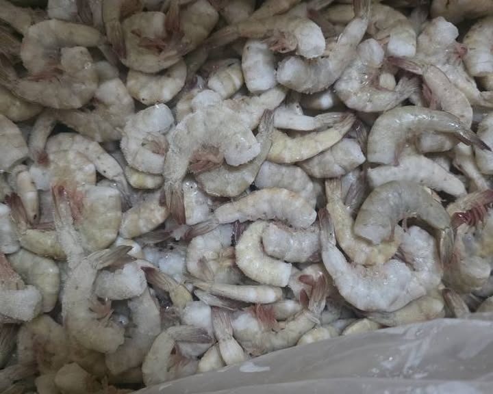 Canainpesca