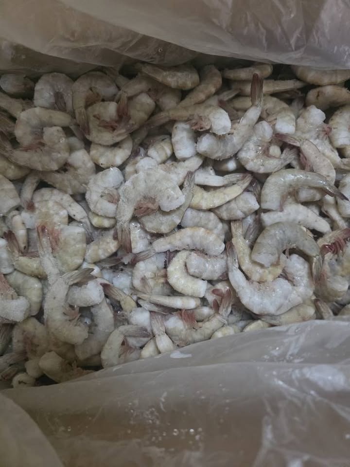 Canainpesca