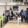 Universitarios