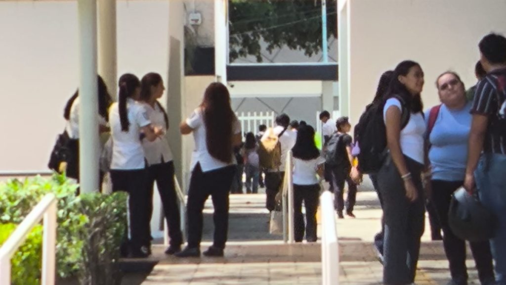 Universitarios