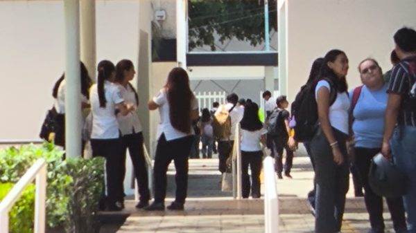 Universitarios