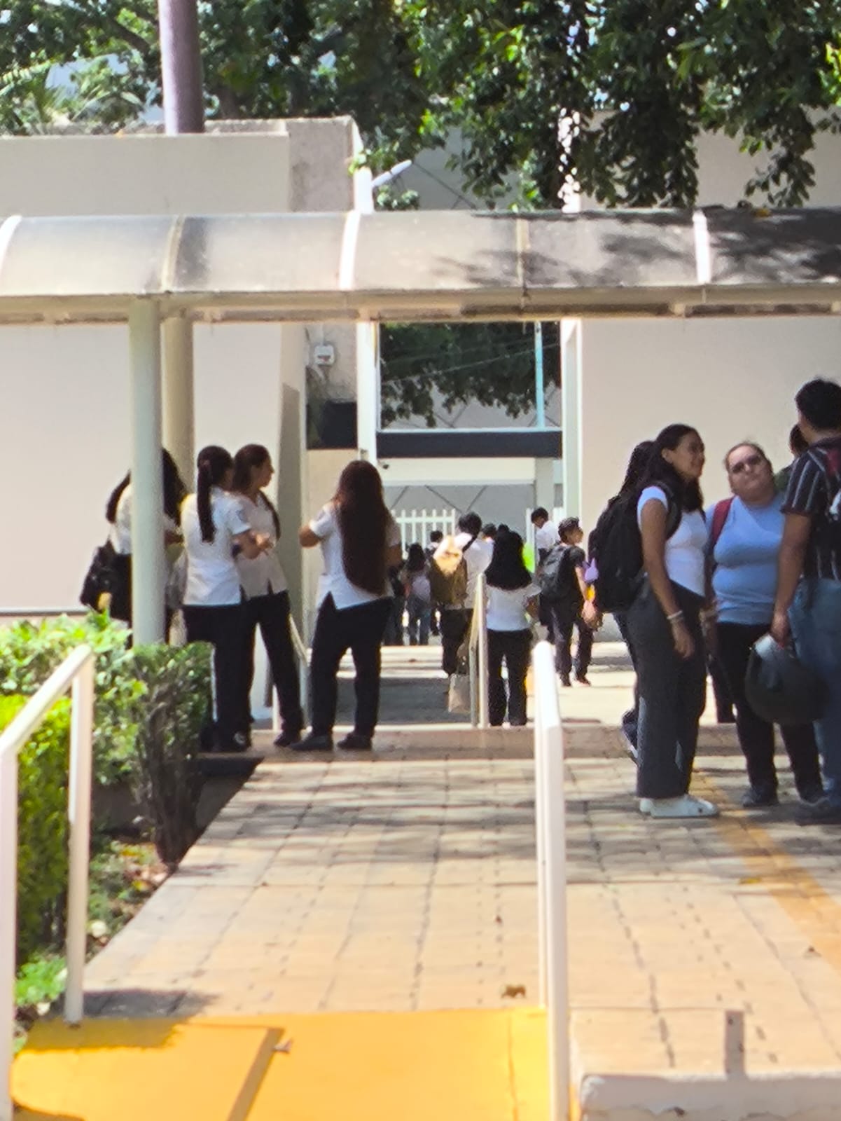 Universitarios
