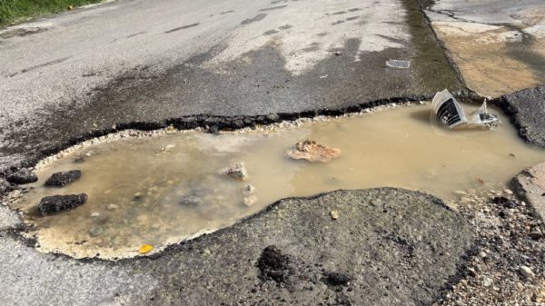 baches