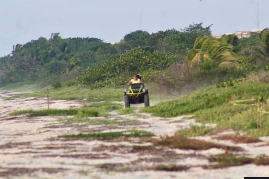 TORTUGA