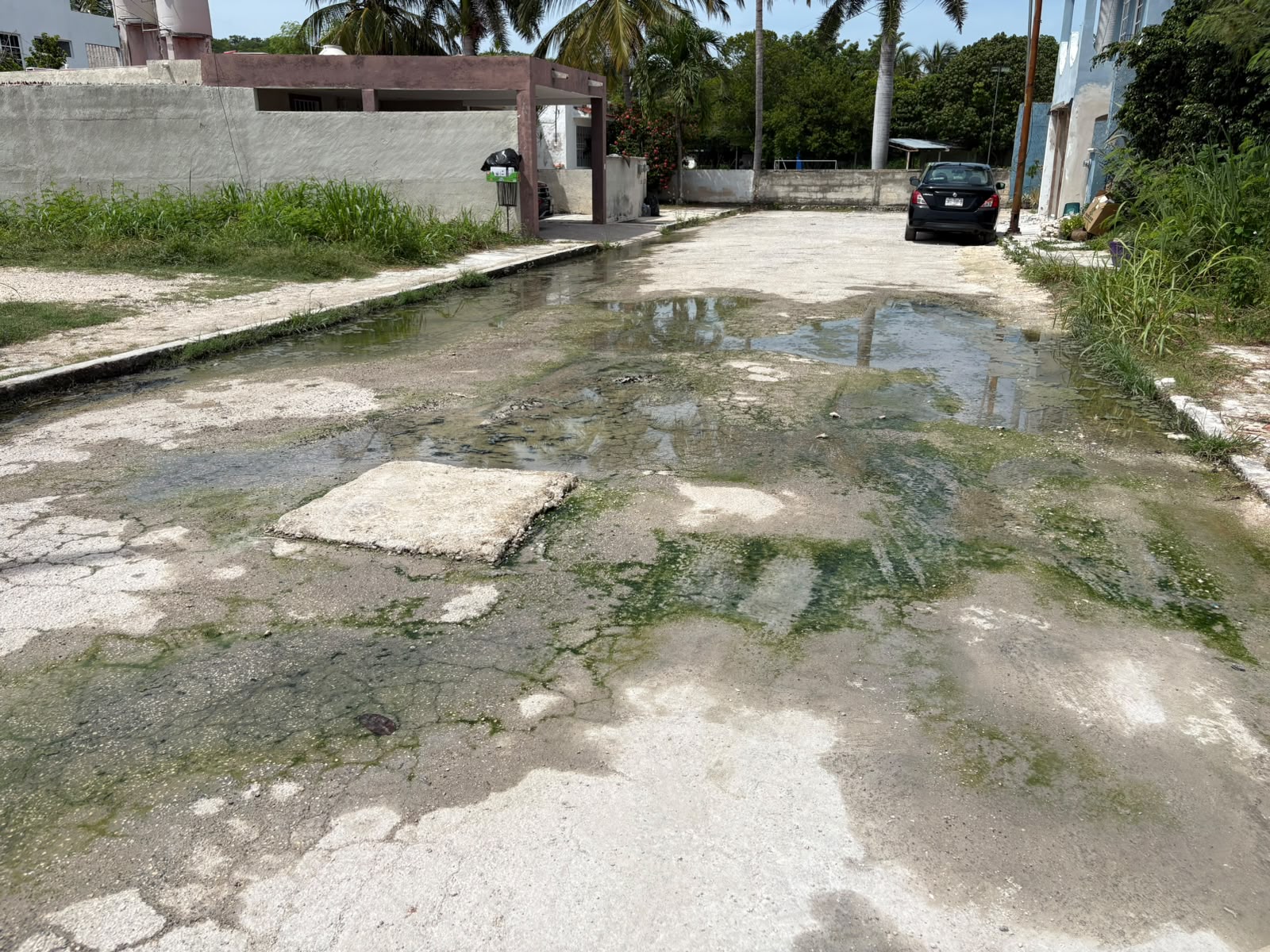 Desbordan