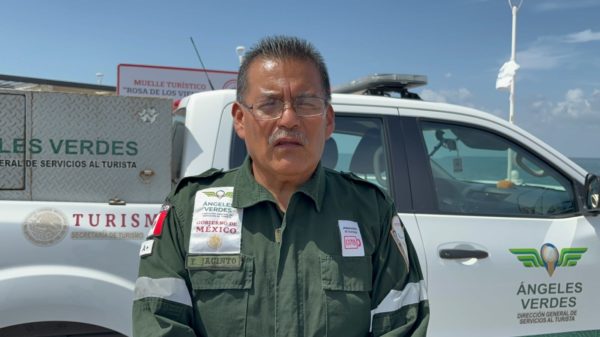 Ángeles Verdes