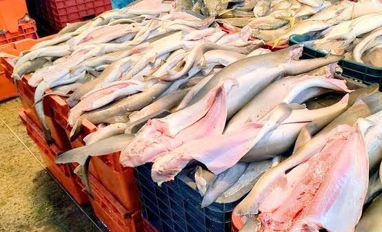 PESCADORES