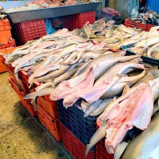 PESCADORES