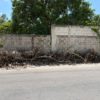 basura
