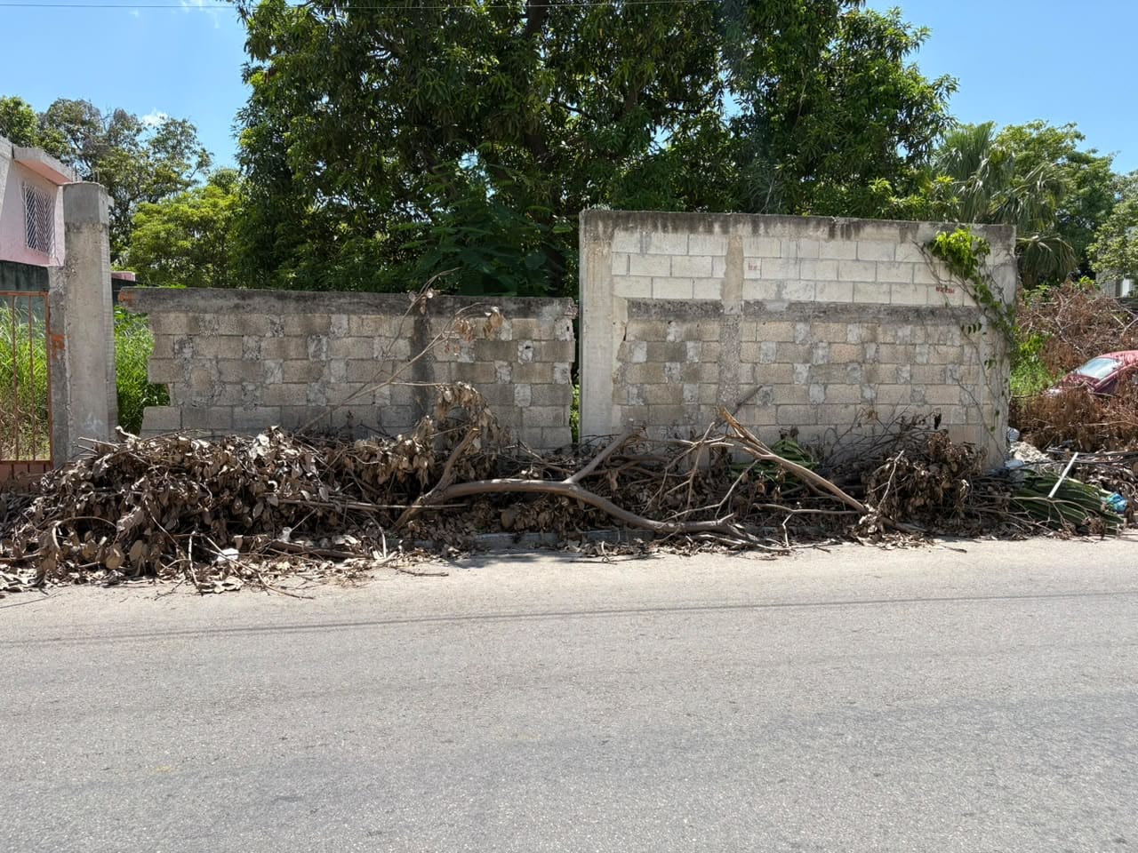 basura