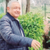 AMLO