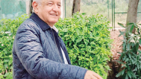 AMLO