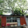 escuelas