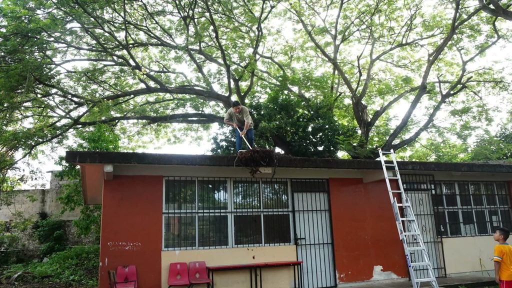 escuelas