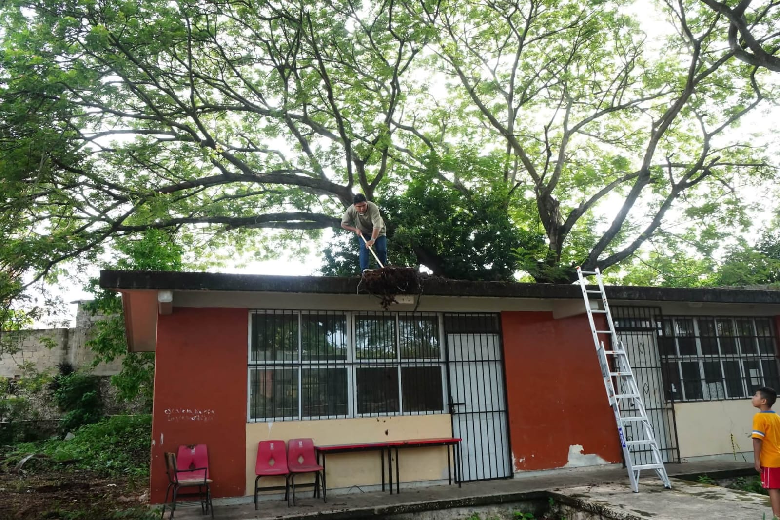 escuelas