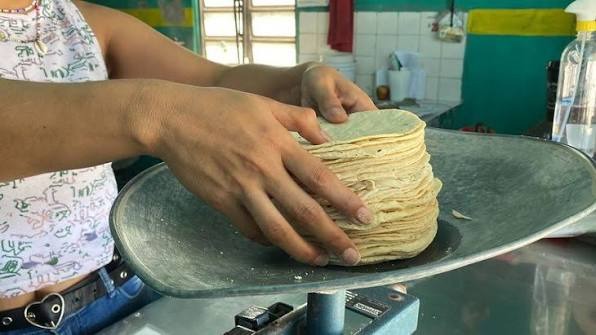 tortilla
