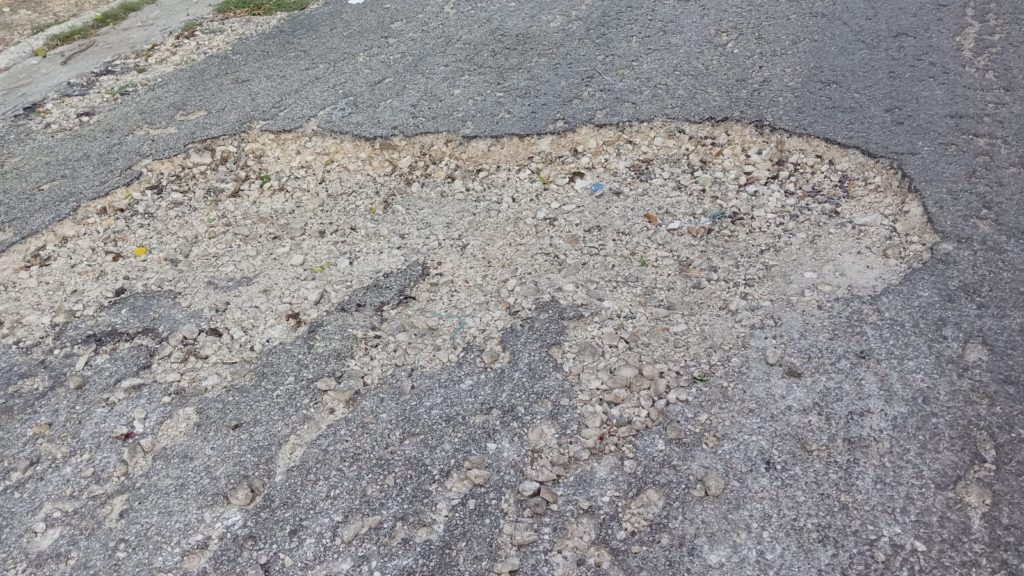 BACHES