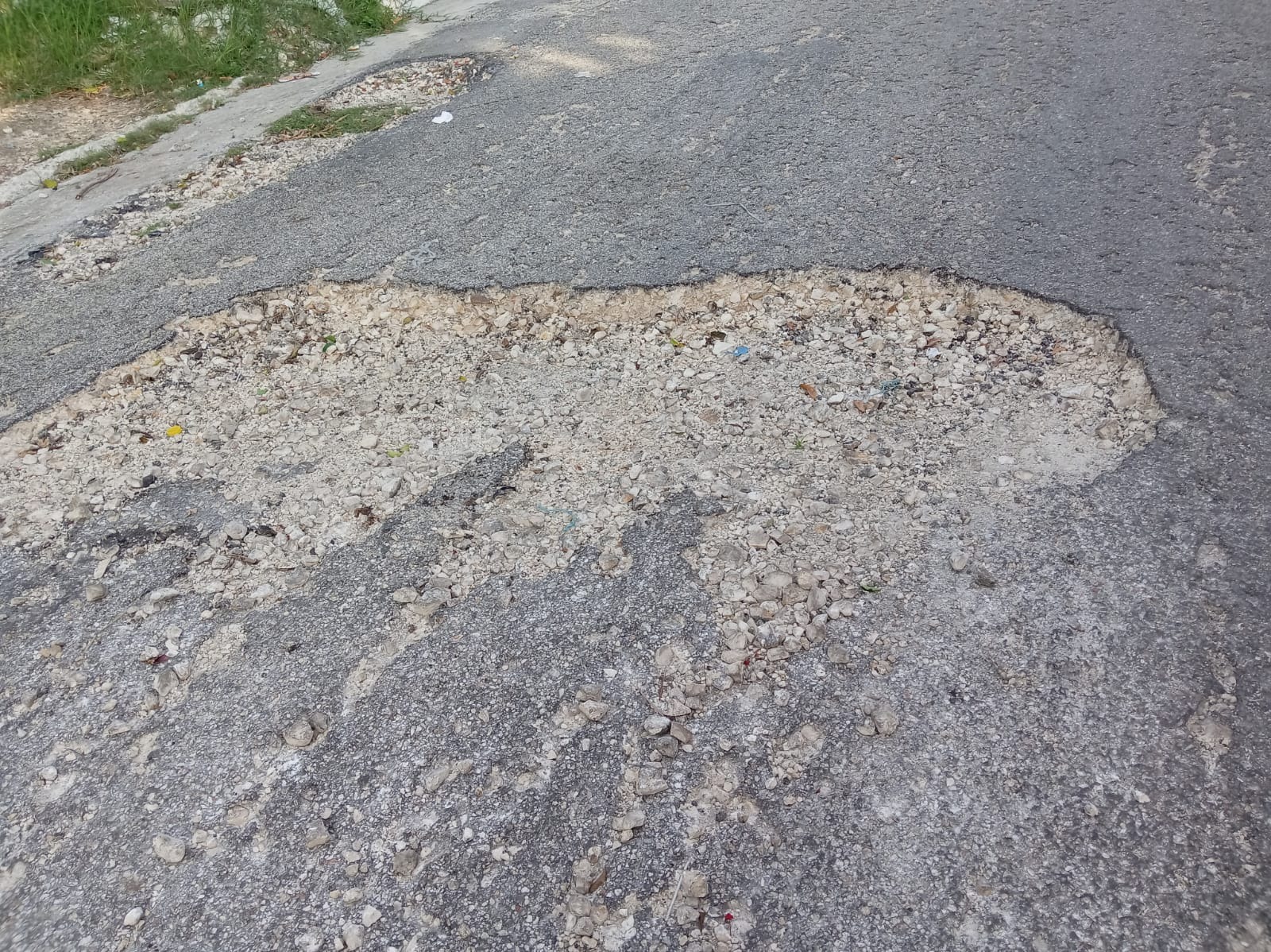 BACHES