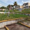 PARQUE