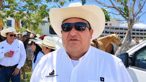 gusano barrenador