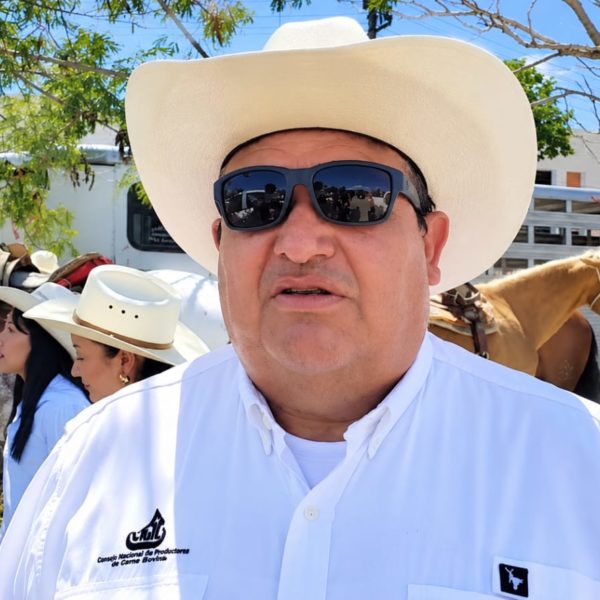 gusano barrenador