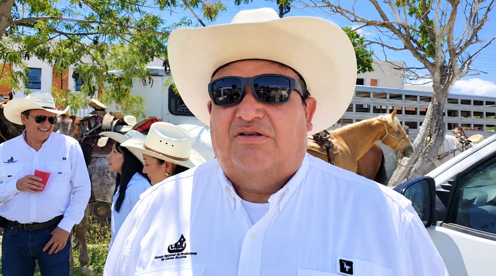 gusano barrenador