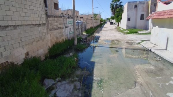 PANTANO
