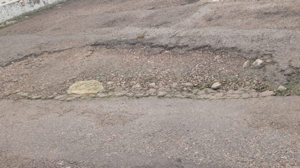 BACHES