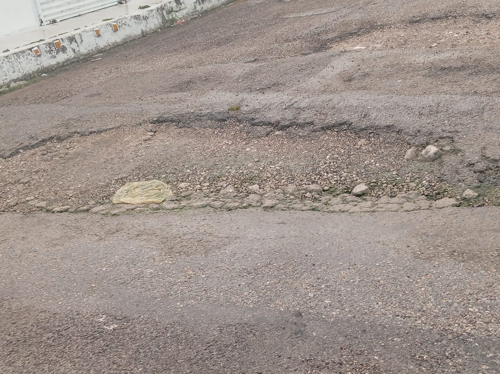 BACHES