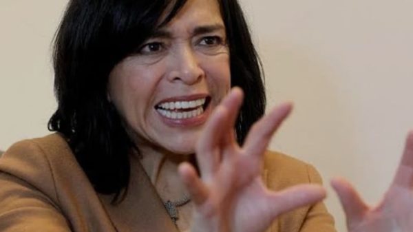 Anabel Hernández