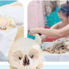 MUERTE