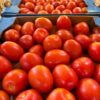 TOMATE