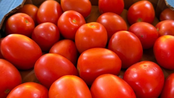 TOMATE