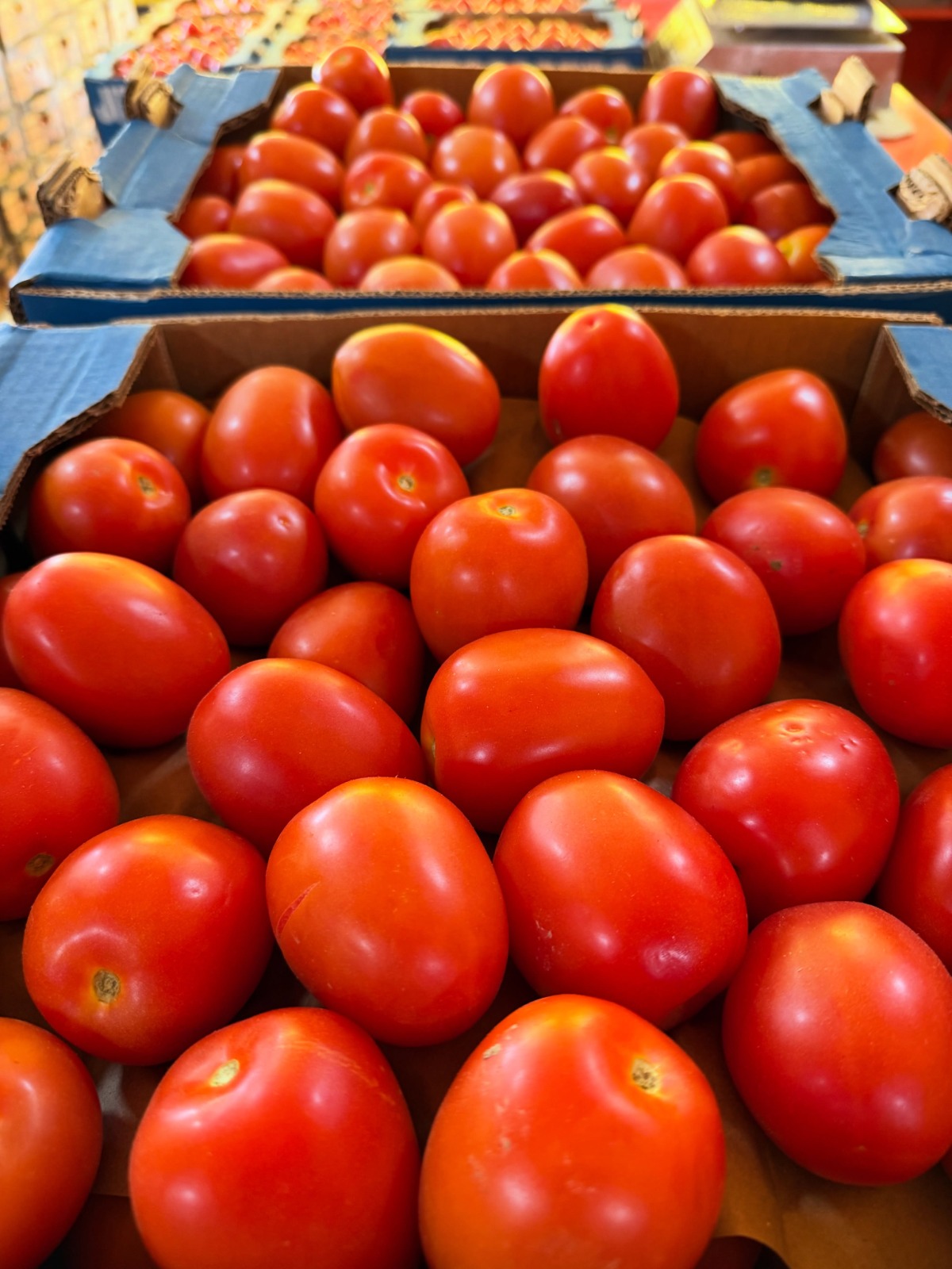 TOMATE
