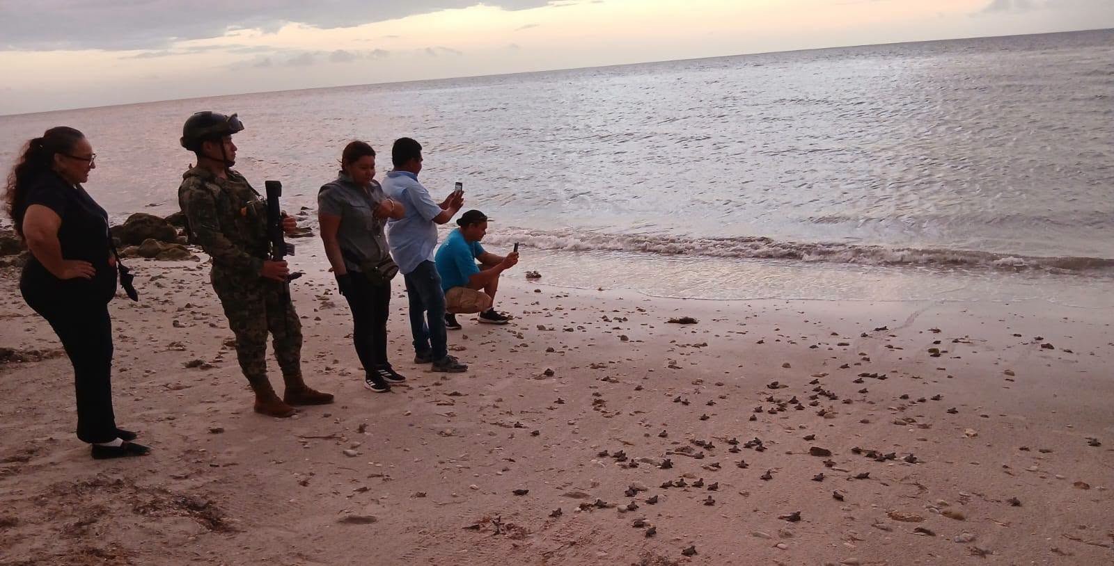 tortuguitas